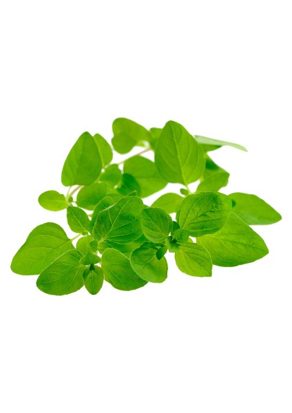 Tısserand Mercan Köşk (Marjoram) Yağı 9 Ml Organik Ve Saf