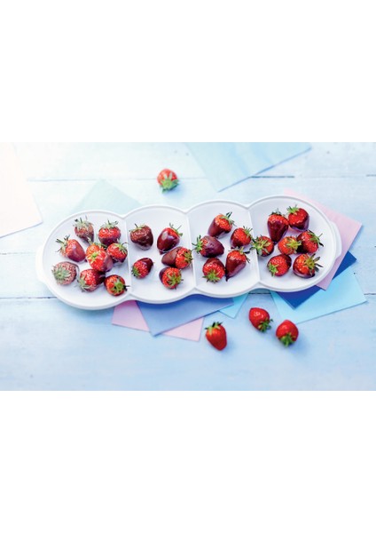 Berrak Çerezlik İnce fiyatları