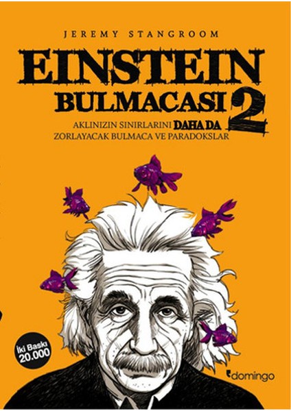 Einstein Bulmacası - Einstein Bulmacası 2 - 2 Kitap