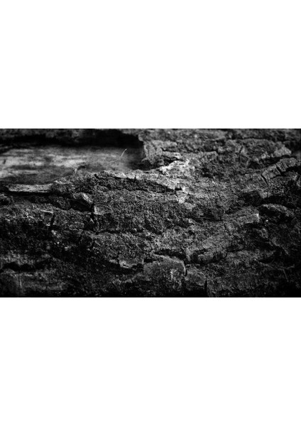 Kanvas Tablo 100 x 60 cm