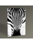 - Zebra Tablo 30x20 1