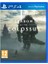 Shadow Of The Colossus PS4 Oyun 1