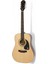 DR-100 Akustik Gitar (Natural) 1