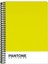 Pantone A5 Boy Spiralli Çizgili Defter Lime 47256-0 1