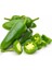 Jalapeno Biber 10 Tohum 1