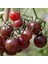 Siyah Cherry Domatesi (Black Cherry ) 10 Tohum 1