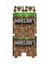 PS4 Fat Minecraft Sticker Seti 1