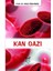 Kan Gazı 1