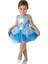 Lisanslı Disney Princess Cinderella Balerin Mavi Kostüm Toddler 2 - 3 Yaş 1