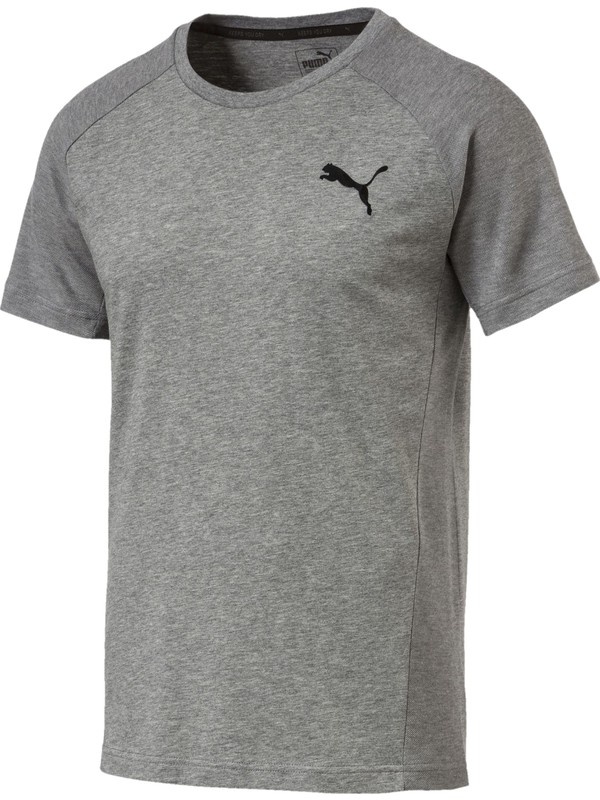 Puma M Evostripe Move Tee SS18 Erkek T-Shirt FiyatÄ±