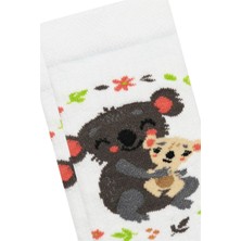 Semoor 3'lü Koala Desenli Kız Patik Çorap