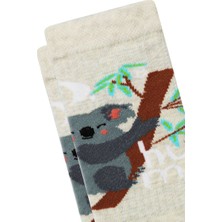 Semoor 3'lü Koala Desenli Kız Patik Çorap