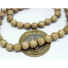 Yaşam Tohumu Jasper Taşı Faset Kesim 6mm/10 Adet (9888-1)