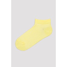 Penti Kız Çocuk Basic Colorful 4lü Patik Çorap