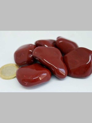 Yaşam Tohumu Jasper Taşı Büyük Boy (20-30GRAM)