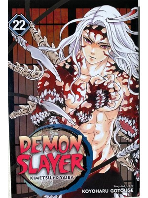 Viz Media Demon Slayer: Kimetsu No Yaiba, Vol. 22- Ingilizce