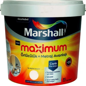 Maximum Silikonlu Silinebilir Iç Cephe Boyası 15 Lt