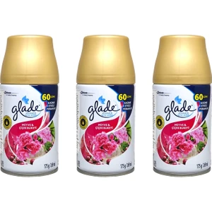 Yedek Sprey Oda Kokusu Meyve & Çiçek Buketi 269 ml x 3 Adet