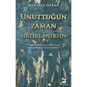Unuttuğun Zaman Hatırlanırsın - Mustafa Özkan