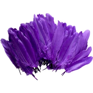 Renkli Kuş Tüyleri, Hobi Aksesuar Süs Malzemeleri 100 Adet