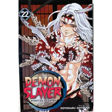 Viz Media Demon Slayer: Kimetsu No Yaiba, Vol. 22- Ingilizce Kitabı