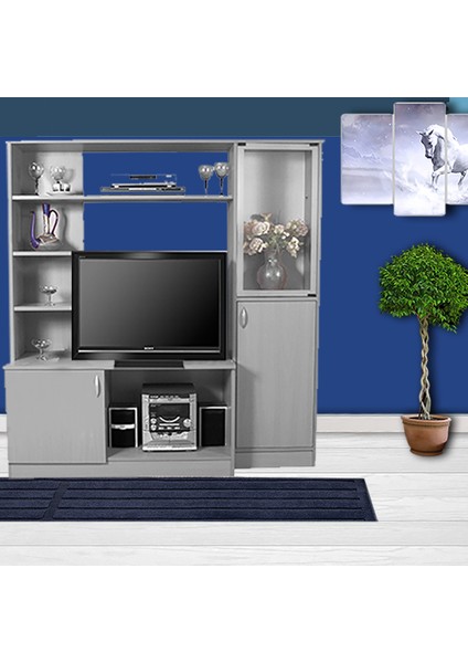 LCD Stand ve Çok Amaçlı Vitrin fiyatları