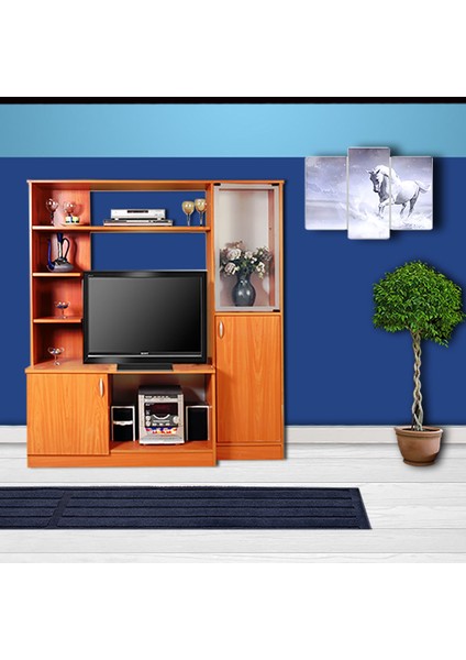 LCD Stand ve Çok Amaçlı Vitrin modelleri