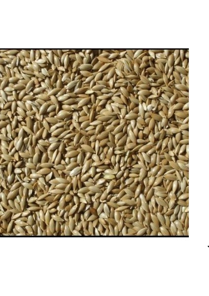 Kanarya Yemi Aspur Sade 5 kg