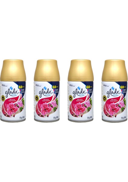 Yedek Sprey Oda Kokusu Meyve & Çiçek Buketi 269 ml x 4 Adet