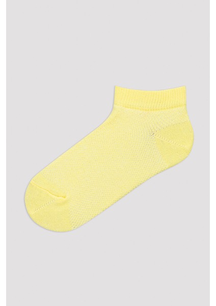 Kız Çocuk Basic Colorful 4lü Patik Çorap