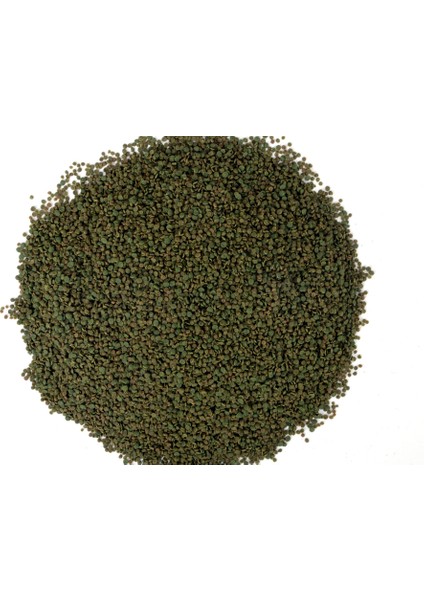 Tropheus Veggie 1000ml, Ahm Cichlid Green 250ml Kutu Balık Yemi
