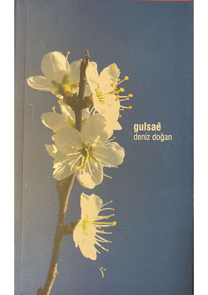 Gulsaê - Deniz Doğan