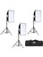 Sürekli Işık Seti 50 x 70 cm Softbox 3'lü + Çantalı Kit 1
