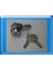 Fuji1pc Özel Cam ve Çekmece Kiliti 3 8 Adrese Teslim 1