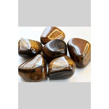 Yaşam Tohumu Kaplangözü Taşı Tamburlanmış (15-19GRAM)