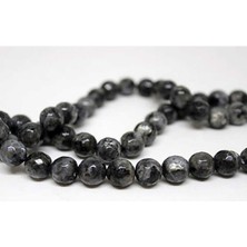 Yaşam Tohumu Spekrolit Taşı Faset Kesim 10MM/5 Adet