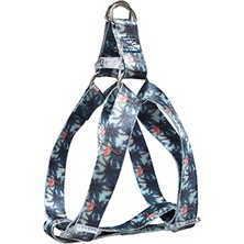 Zampa Capilla Köpek Gövde Tasması Small 1,5X25-40 cm