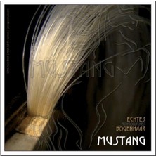Çello Arşe Kılı Gewa Mustang