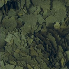 Tropical Süper Spirulina Forte 1000 Gram Pul Yem