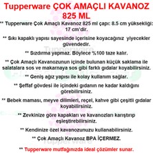 Tupperware Çok Amaçlı Kavanoz 825 ml Saklama Kabı Hsgl