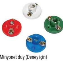 Okul Deney Duyu - Minyonet Duy