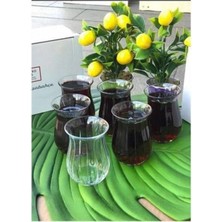 Paşabahçe 42741 Linka Çay Bardak 6'lı