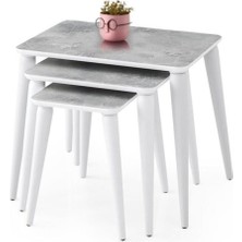 Erezoğulları Mobilya Arya High Gloss Dikdörtgen 3lü Zigon Sehpa