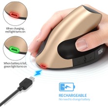 Sanlindou Şarj Edilebilir Ergonomi Fare 2.4G Kablosuz Dikey 6 Düğmeler 1600 Dpı Dizüstü Pc Altın Için Pil Mouse Ayarlayın (Yurt Dışından)