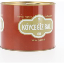 Köyceğiz Balı Çiçek Balı 2850 G Teneke