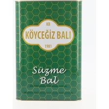 Köyceğiz Balı Çam Balı 26,5 Kg Teneke