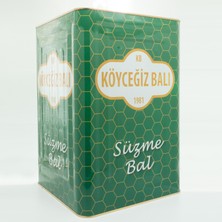 Köyceğiz Balı Çam Balı 26,5 Kg Teneke