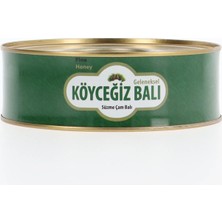 Köyceğiz Balı Çam Balı 850 G Teneke