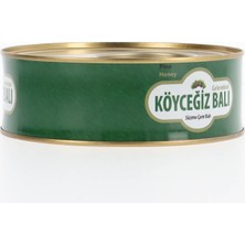 Köyceğiz Balı Çam Balı 850 G Teneke