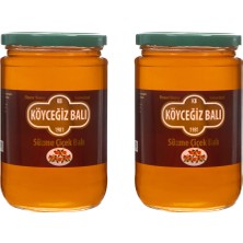 Köyceğiz Balı Çiçek Balı 850 G 2'li